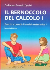 IL BERNOCCOLO DEL CALCOLO I - SECONDA EDIZIONE